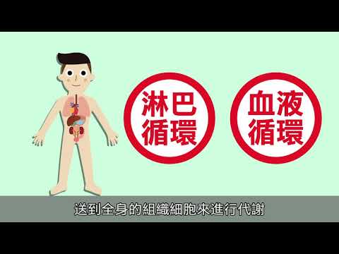 51246 解開高低密度膽固醇之謎